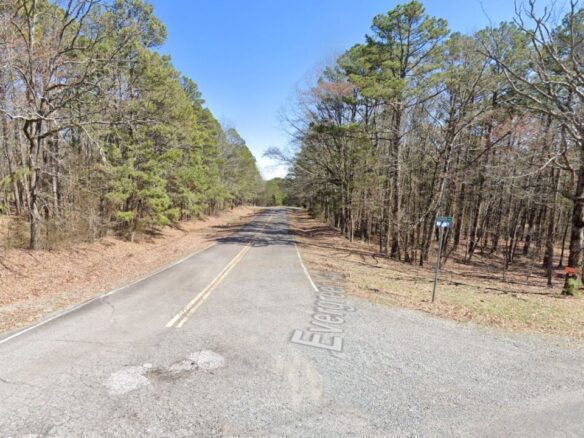 SOLD – Privacy, Serenity, and Lake Views: 0.24 Acres Lot Ideal to Build/Retreat