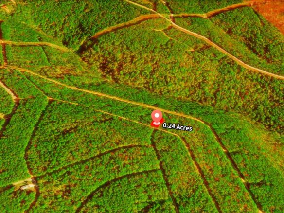 SOLD – Privacy, Serenity, and Lake Views: 0.24 Acres Lot Ideal to Build/Retreat