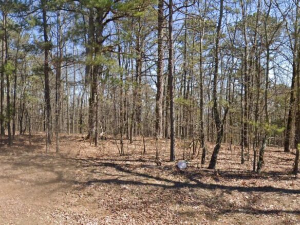SOLD – Privacy, Serenity, and Lake Views: 0.24 Acres Lot Ideal to Build/Retreat