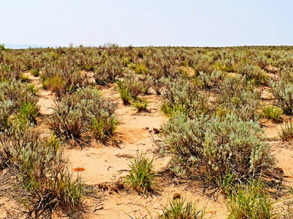 SOLD- 0.5 Acres Land for Sale in New Mexico to Build or Investment