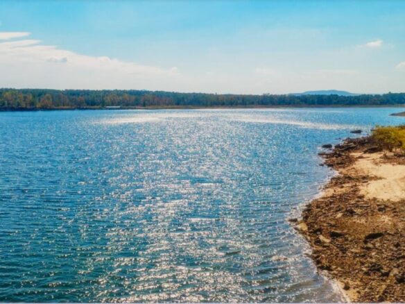 SOLD – Privacy, Serenity, and Lake Views: 0.24 Acres Lot Ideal to Build/Retreat