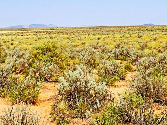 SOLD- 0.5 Acres Land for Sale in New Mexico to Build or Investment