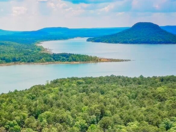 SOLD – Privacy, Serenity, and Lake Views: 0.24 Acres Lot Ideal to Build/Retreat