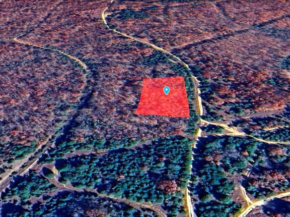 SOLD – 1.05 Acre Land for Sale in Arkansas Near to Lake
