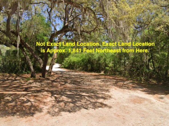 Land for Sale in florida