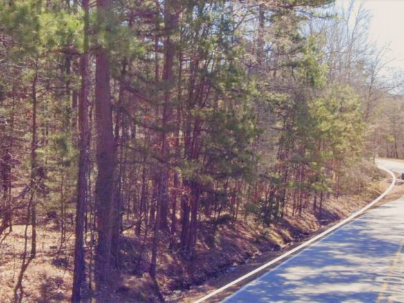 SOLD – 0.343 Acre Land for Sale in Arkansas Near to Lake