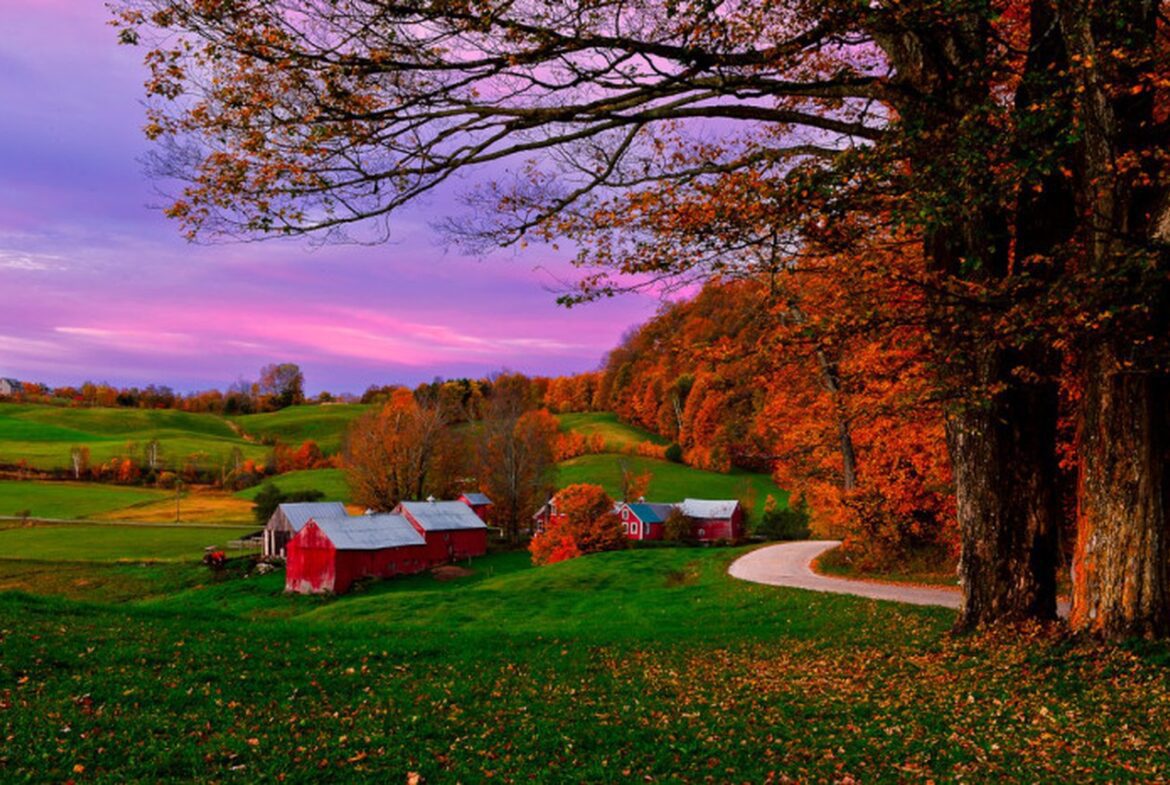 How to Buy A Land Wisely In The