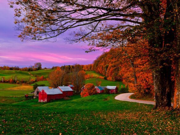 How to Buy A Land Wisely In The