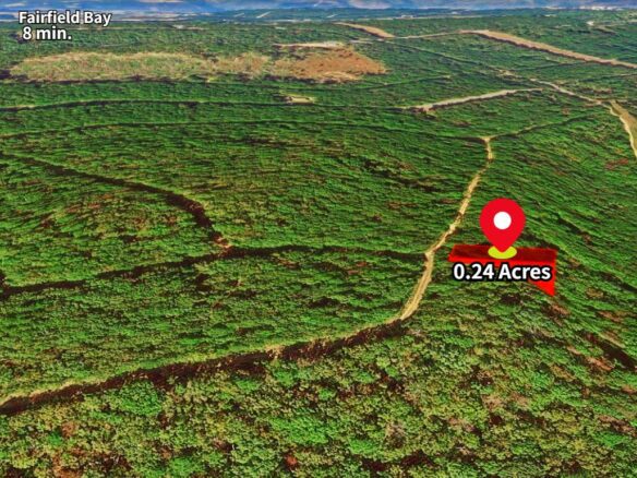 SOLD – Privacy, Serenity, and Lake Views: 0.24 Acres Lot Ideal to Build/Retreat
