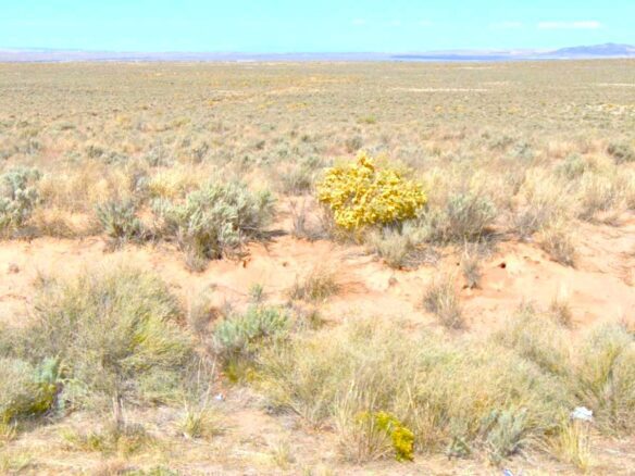SOLD- 0.5 Acres Land for Sale in New Mexico to Build or Investment