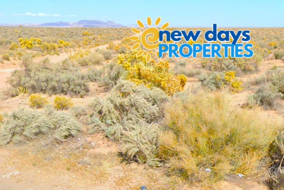 land for sale in new mexico
