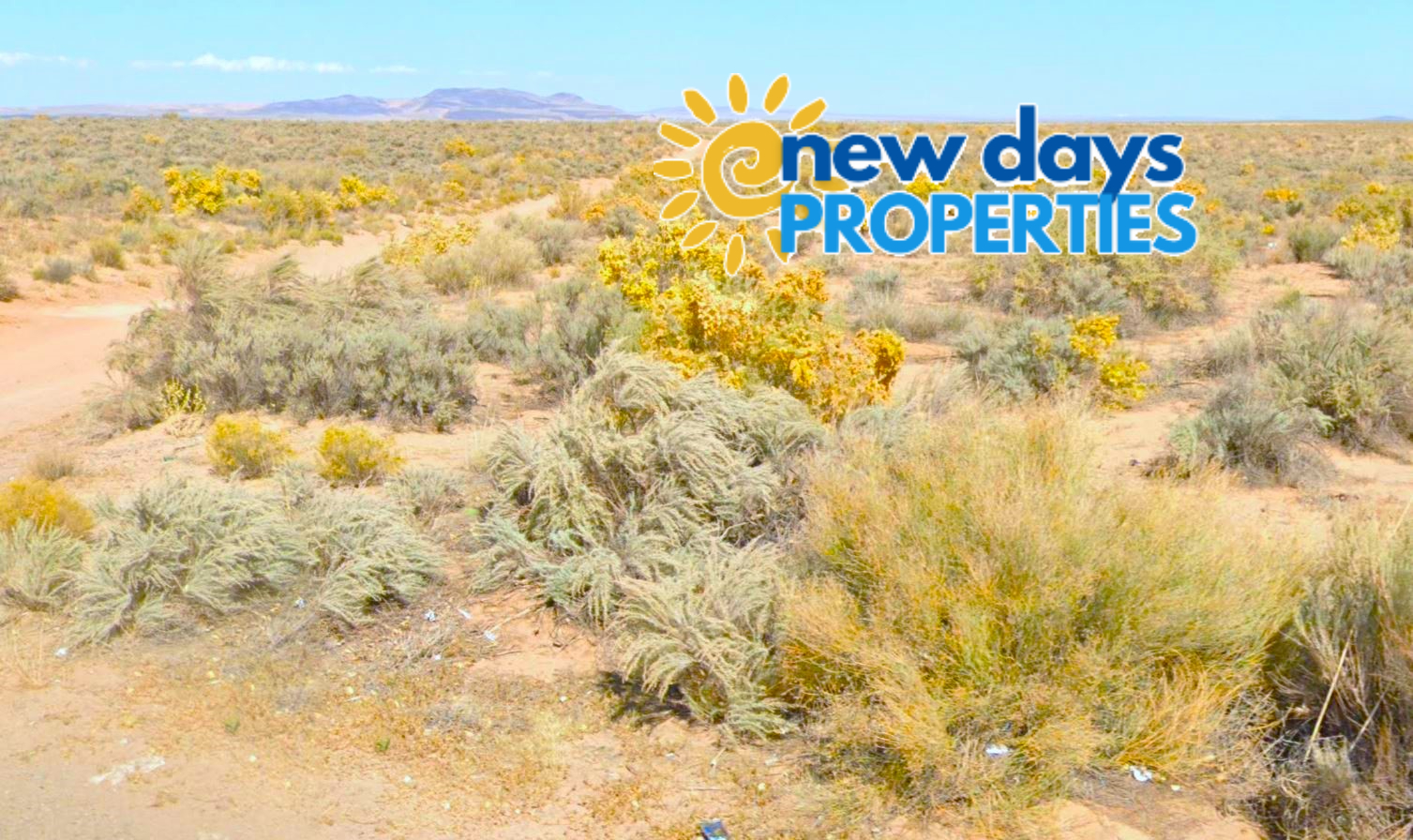 land for sale in new mexico