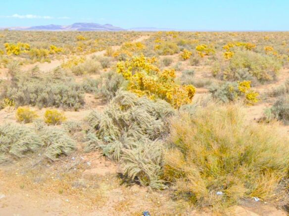 SOLD- 0.5 Acres Land for Sale in New Mexico to Build or Investment