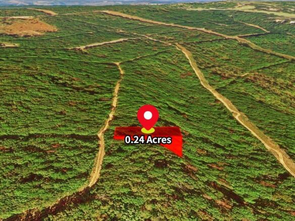 SOLD – Privacy, Serenity, and Lake Views: 0.24 Acres Lot Ideal to Build/Retreat