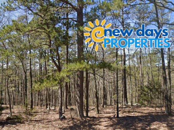 SOLD – Privacy, Serenity, and Lake Views: 0.24 Acres Lot Ideal to Build/Retreat