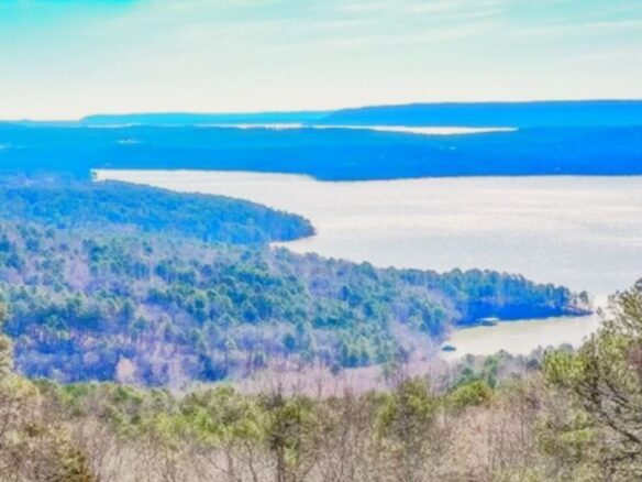 SOLD – Privacy, Serenity, and Lake Views: 0.24 Acres Lot Ideal to Build/Retreat