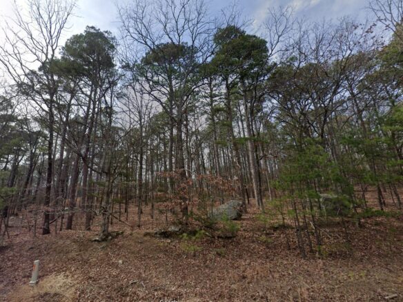 SOLD – 0.29 Acres of Arkansas Treed Mountain Land for Sale Near Lakes