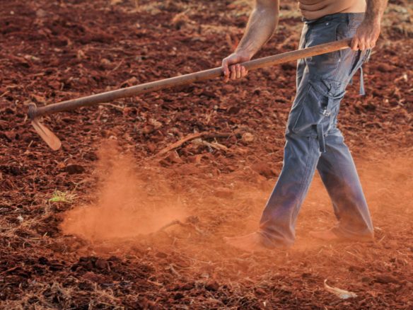 Essential Checklist for maintaining for farm