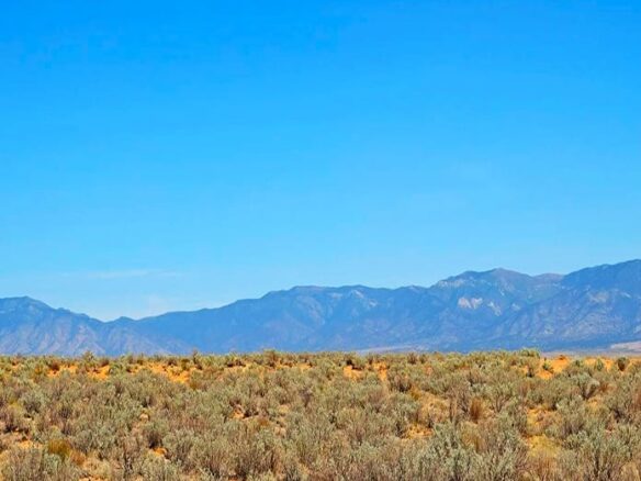 0.25-Acre of Lot to Land in New Mexico for Sale, NM 87002