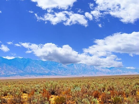 0.25-Acre of Lot to Land in New Mexico for Sale, NM 87002