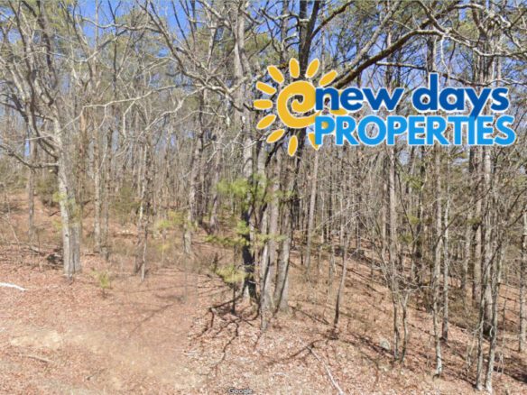 SOLD – 0.25 Acres Land for Sale in Mountain View Arkansas