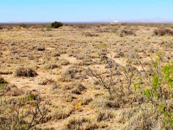 SOLD- 1-Acre Lot Cheap Land for Sale in New Mexico