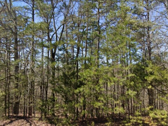 SOLD – 0.24 Acres Land in Arkansas for Sale