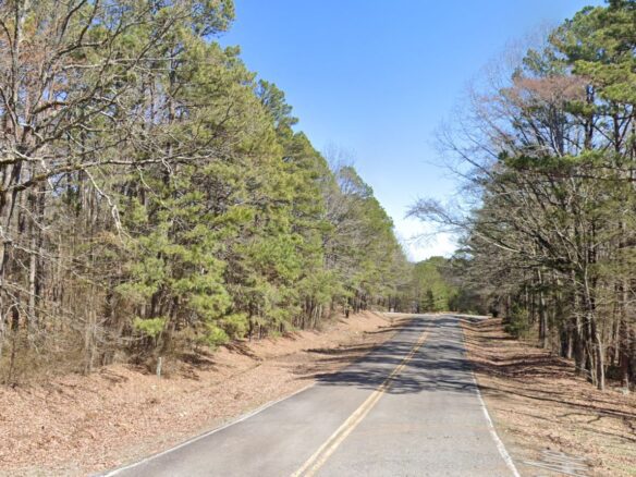 SOLD – 0.24 Acres Treed Land for Sale with Mountain View in Arkansas