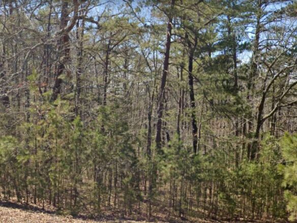 SOLD – 0.24 Acres Land in Arkansas for Sale