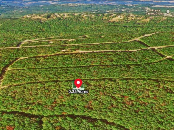 SOLD – 0.25 Acres Land for Sale in Mountain View Arkansas