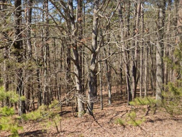 SOLD – 0.24 Acres Land in Arkansas for Sale