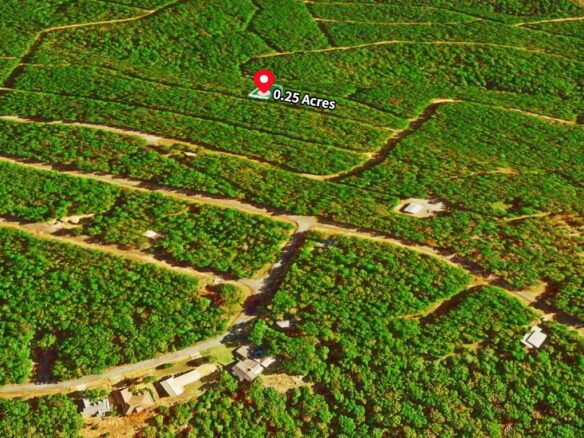 SOLD – 0.25 Acres Land for Sale in Mountain View Arkansas