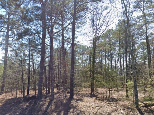 SOLD – 0.24 Acres Treed Land for Sale with Mountain View in Arkansas