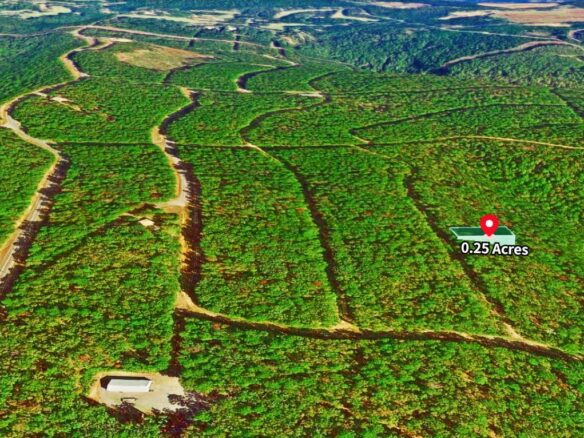 SOLD – 0.25 Acres Land for Sale in Mountain View Arkansas