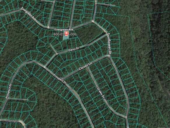 SOLD – 0.24 Acres Treed Land for Sale with Mountain View in Arkansas