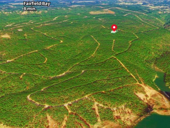 SOLD – 0.24 Acres Treed Land for Sale with Mountain View in Arkansas