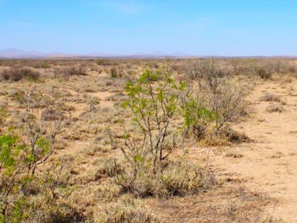 SOLD- 1-Acre Lot Cheap Land for Sale in New Mexico