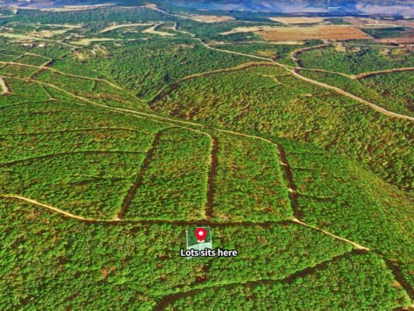 SOLD – 0.24 Acres Treed Land for Sale with Mountain View in Arkansas