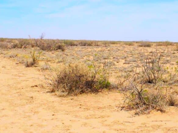 SOLD- 1-Acre Lot Cheap Land for Sale in New Mexico