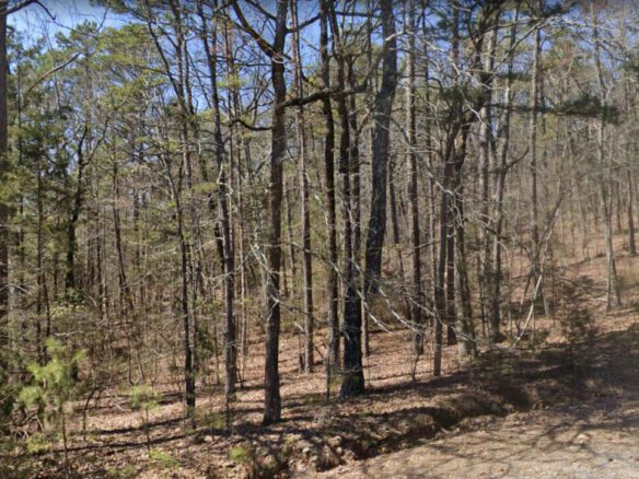 SOLD – 0.24 Acres Land in Arkansas for Sale
