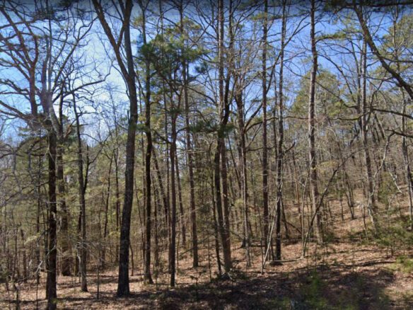 SOLD – 0.24 Acres Land in Arkansas for Sale