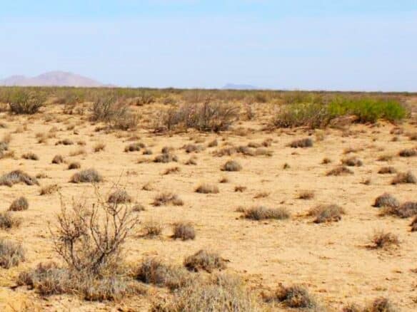 SOLD- 1-Acre Lot Cheap Land for Sale in New Mexico
