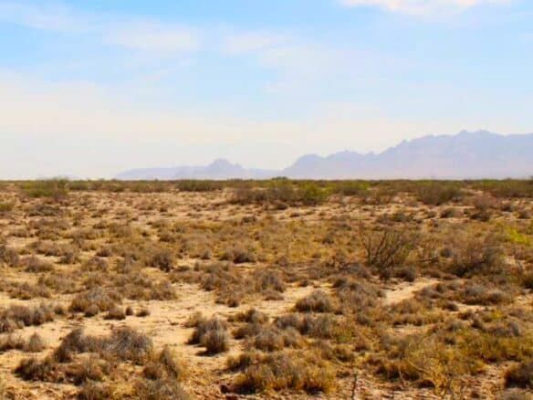 SOLD- 1-Acre Lot Cheap Land for Sale in New Mexico