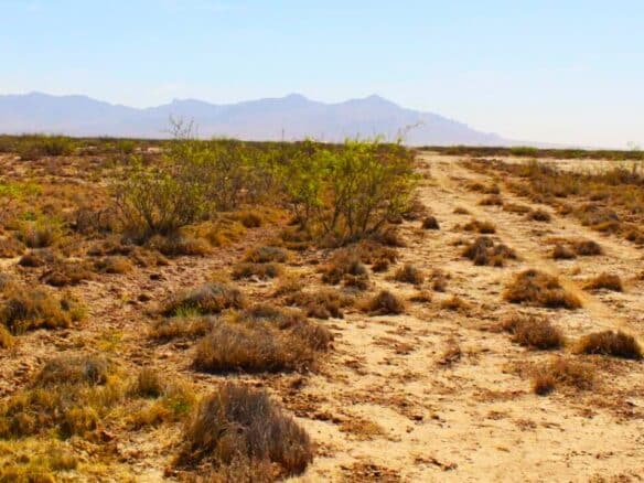 SOLD- 1-Acre Lot Cheap Land for Sale in New Mexico