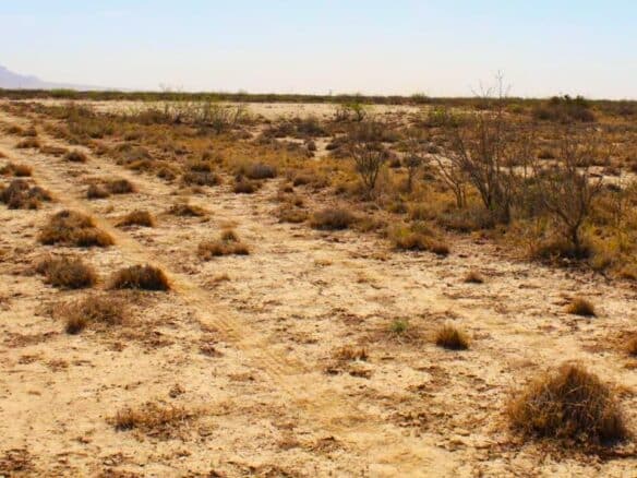 SOLD- 1-Acre Lot Cheap Land for Sale in New Mexico