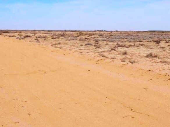 SOLD- 1-Acre Lot Cheap Land for Sale in New Mexico