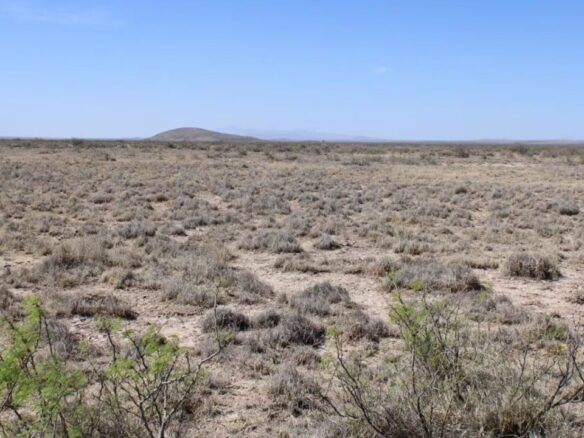 SOLD- 1-Acre Lot Cheap Land for Sale in New Mexico