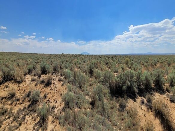0.25-Acre of Lot to Land in New Mexico for Sale, NM 87002