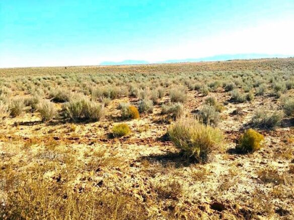 0.25-Acre of Lot to Land in New Mexico for Sale, NM 87002