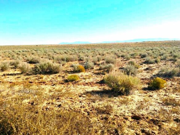 SOLD- 4 Lots to Build, Adventure or Investment for sale in New Mexico